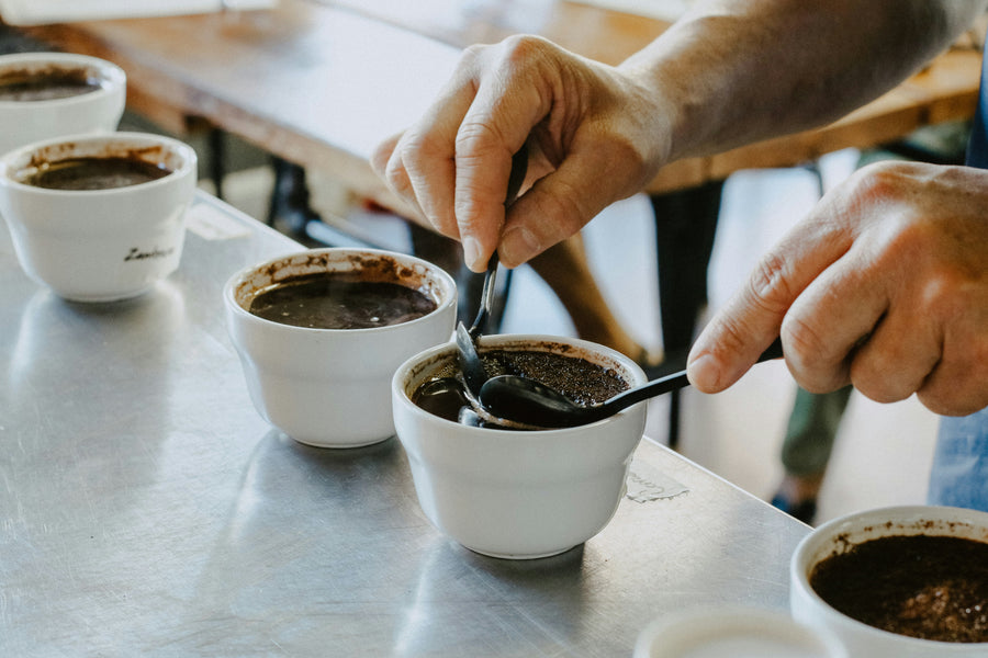 El Puntaje en el Café de Especialidad