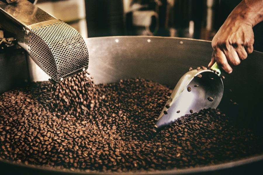 Los Sabores del Café de Especialidad según el Nivel de Tueste